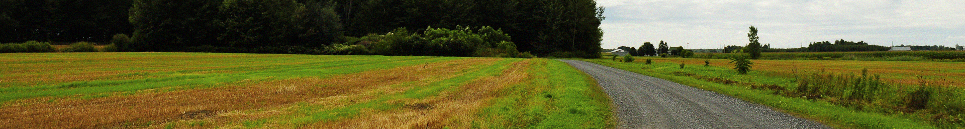 Banniere-ferme