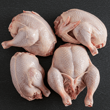 Carcasse (paquet de 4)