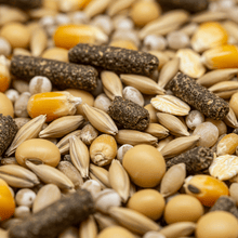 Moulée de Grains Mélangés