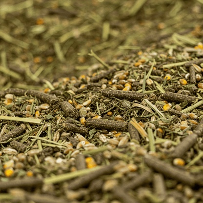 Moulée de Vache laitière